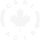 CARI-ACIR logo
